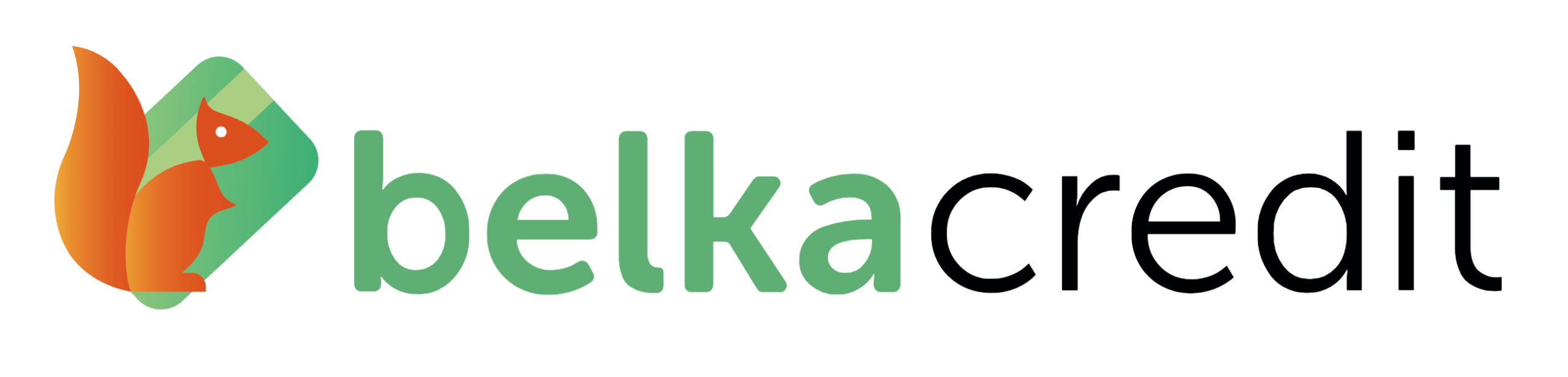 BelkaCredit